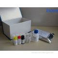 Human MIS/AMH (Mullerian Inhibiting Substance/Anti-Mullerian Hormone)ELISA Kit